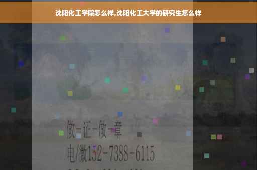 沈阳化工学院怎么样,沈阳化工大学的研究生怎么样