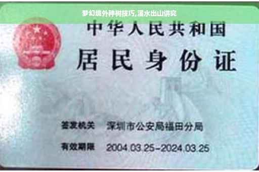 梦幻境外种树技巧,溪水出山讲究 梦幻境外种树技巧,溪水出山讲究