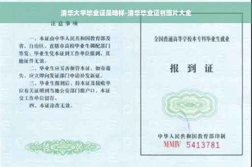 清华大学毕业证是啥样-清华毕业证书图片大全