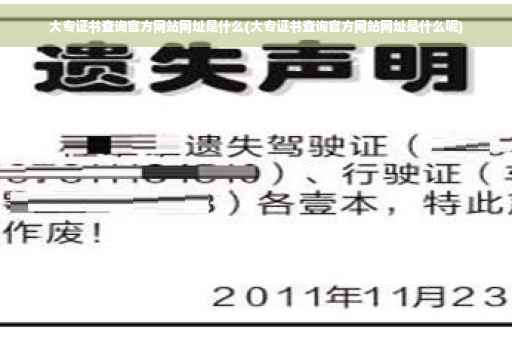 大专证书查询官方网站网址是什么(大专证书查询官方网站网址是什么呢)