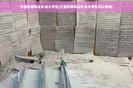 计算机等级证书 非大学生(计算机等级证书 非大学生可以考吗)