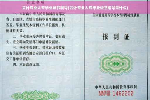 会计专业大专毕业证书编号(会计专业大专毕业证书编号是什么)