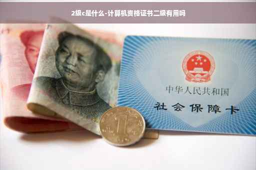 2级c是什么-计算机资格证书二级有用吗