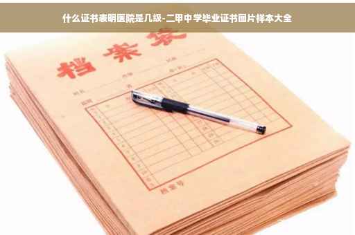 什么证书表明医院是几级-二甲中学毕业证书图片样本大全