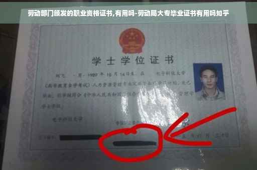 劳动部门颁发的职业资格证书,有用吗-劳动局大专毕业证书有用吗知乎