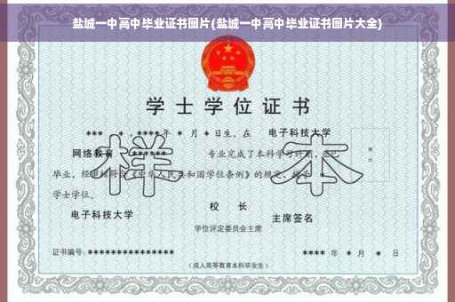 盐城一中高中毕业证书图片(盐城一中高中毕业证书图片大全)