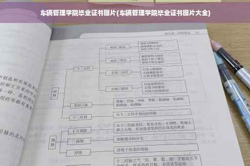 车辆管理学院毕业证书图片(车辆管理学院毕业证书图片大全)