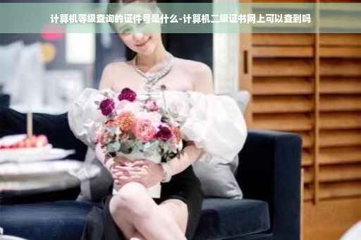 计算机等级查询的证件号是什么-计算机二级证书网上可以查到吗
