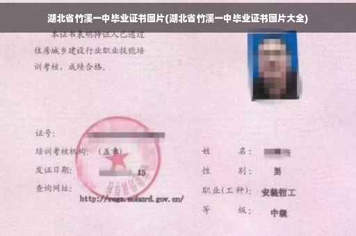 湖北省竹溪一中毕业证书图片(湖北省竹溪一中毕业证书图片大全)