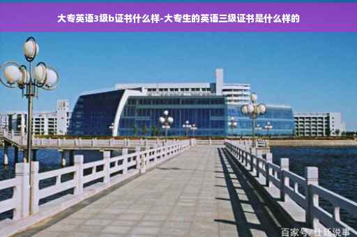 大专英语3级b证书什么样-大专生的英语三级证书是什么样的