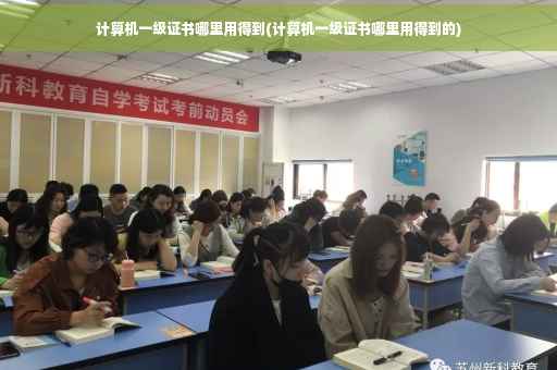 计算机一级证书哪里用得到(计算机一级证书哪里用得到的)
