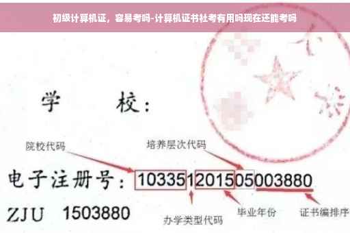 初级计算机证，容易考吗-计算机证书社考有用吗现在还能考吗