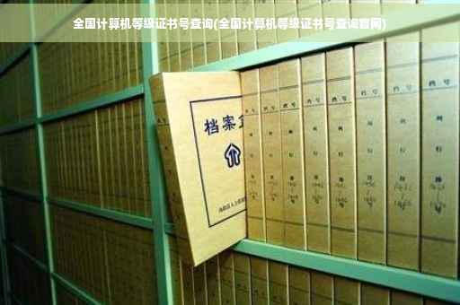 全国计算机等级证书号查询(全国计算机等级证书号查询官网)