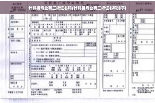 计算机专业有二级证书吗(计算机专业有二级证书吗知乎)