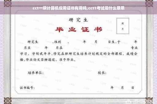 cct一级计算机应用证书有用吗,cct1考试是什么意思