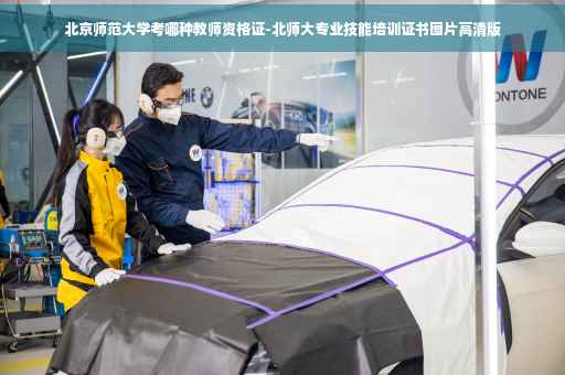北京师范大学考哪种教师资格证-北师大专业技能培训证书图片高清版