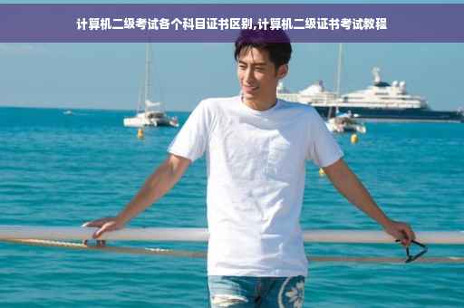 计算机二级考试各个科目证书区别,计算机二级证书考试教程