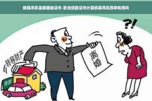 做程序员需要哪些证书-职业技能证书计算机程序员四级有用吗