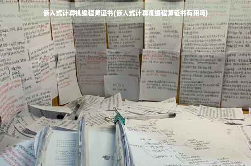 嵌入式计算机编程师证书(嵌入式计算机编程师证书有用吗)