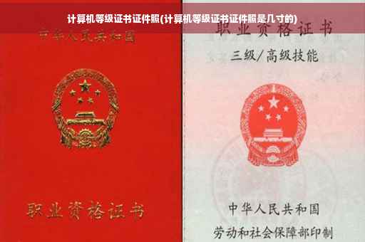 计算机等级证书证件照(计算机等级证书证件照是几寸的)
