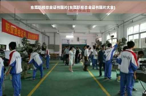 东莞职校毕业证书图片(东莞职校毕业证书图片大全)