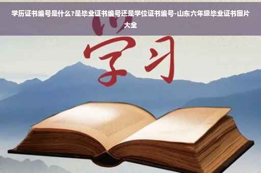 学历证书编号是什么?是毕业证书编号还是学位证书编号-山东六年级毕业证书图片大全