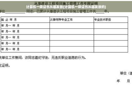 计算机一级证书从哪发放(计算机一级证书从哪发放的)