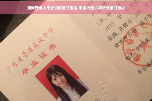 如何查电大毕业证的证书编号,中国政法大学毕业证书图片