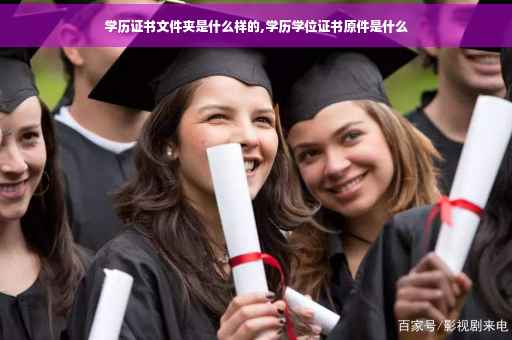 学历证书文件夹是什么样的,学历学位证书原件是什么
