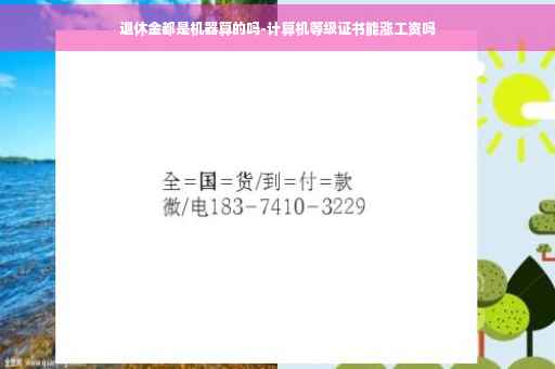 退休金都是机器算的吗-计算机等级证书能涨工资吗