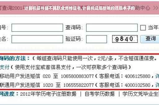 计算机证书算不算职业资格证书,计算机证是纸张的还是本子的