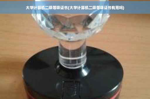 大学计算机二级等级证书(大学计算机二级等级证书有用吗) 大学计算机二级等级证书(大学计算机二级等级证书有用吗)