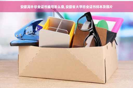 安徽高中毕业证书编号怎么查,安徽省大学毕业证书样本及图片