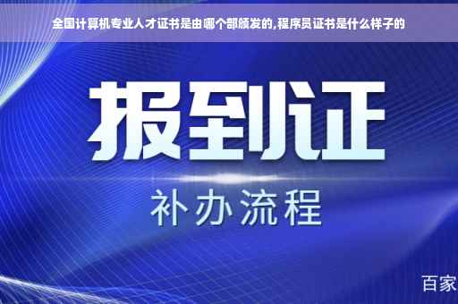 全国计算机专业人才证书是由哪个部颁发的,程序员证书是什么样子的
