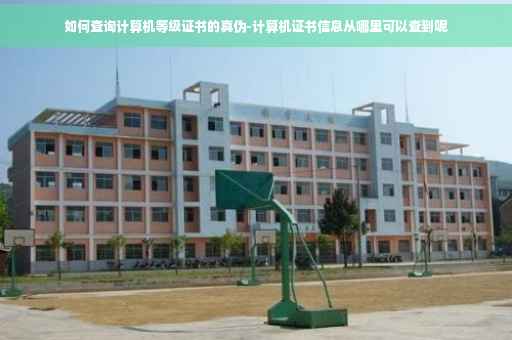 如何查询计算机等级证书的真伪-计算机证书信息从哪里可以查到呢