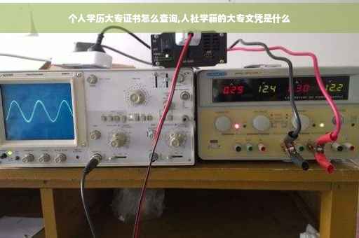个人学历大专证书怎么查询,人社学籍的大专文凭是什么