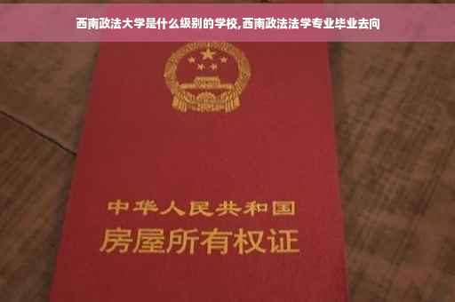 西南政法大学是什么级别的学校,西南政法法学专业毕业去向