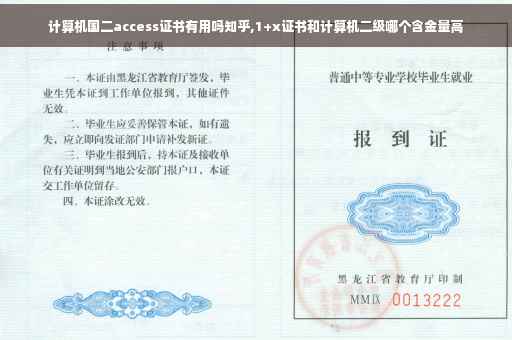计算机国二access证书有用吗知乎,1+x证书和计算机二级哪个含金量高