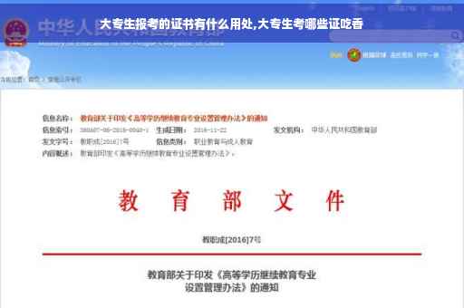 大专生报考的证书有什么用处,大专生考哪些证吃香
