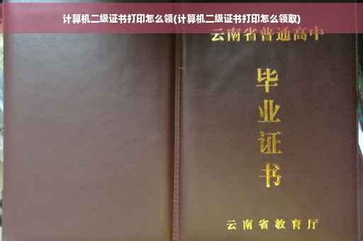 计算机二级证书打印怎么领(计算机二级证书打印怎么领取)