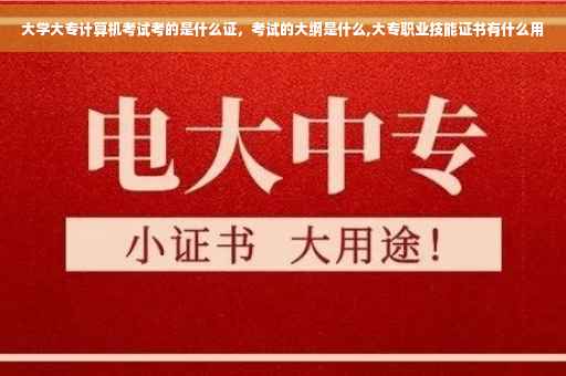 大学大专计算机考试考的是什么证，考试的大纲是什么,大专职业技能证书有什么用