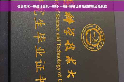 信息技术一级是计算机一级吗-一级计算机证书是职称嘛还是职称
