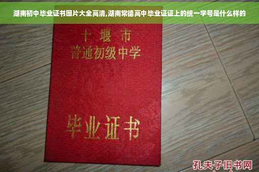 湖南初中毕业证书图片大全高清,湖南常德高中毕业证证上的统一学号是什么样的