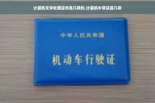 计算机文字处理证书是几级的,计算机中级证算几级