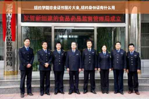 纽约学院毕业证书图片大全,纽约身份证有什么用