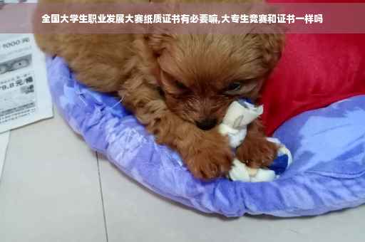 全国大学生职业发展大赛纸质证书有必要嘛,大专生竞赛和证书一样吗