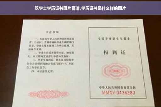 双学士学历证书图片高清,学历证书是什么样的图片