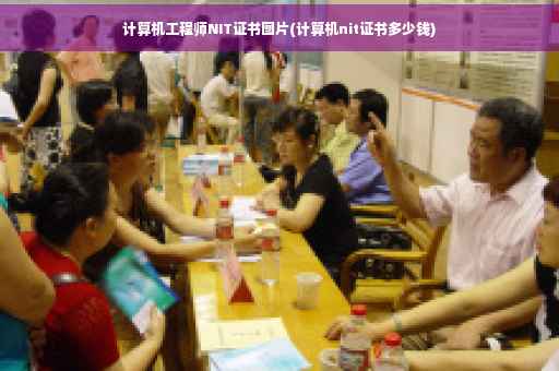 计算机工程师NIT证书图片(计算机nit证书多少钱)