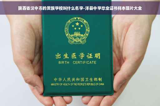 陕西省汉中市的贵族学校叫什么名字-洋县中学毕业证书样本图片大全