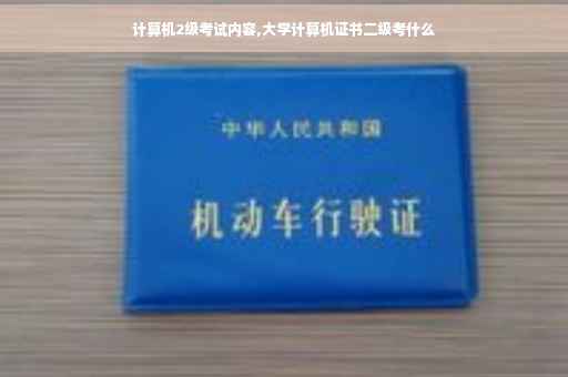 计算机2级考试内容,大学计算机证书二级考什么